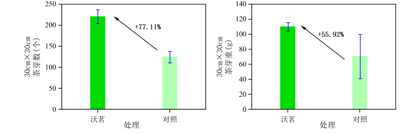 图片 7.png